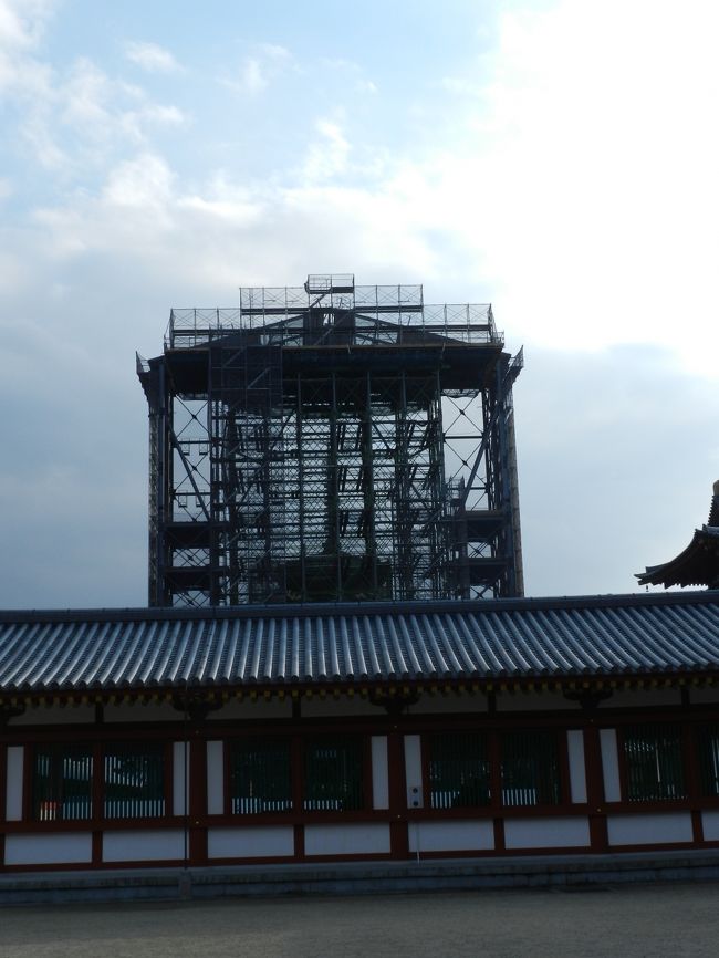 伽藍の外側（東側）から見た、修復工事中の「薬師寺東塔」。