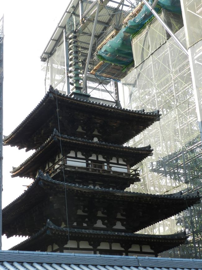 伽藍の外側（南側）から見るとこんな感じです。