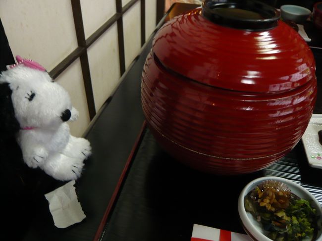 ベルちゃんよりも大きな器に目を丸くするベルちゃん。<br /><br />Photo by wife