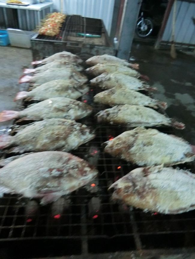 鯛に似た魚もあります