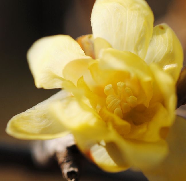 お日さまを浴びて