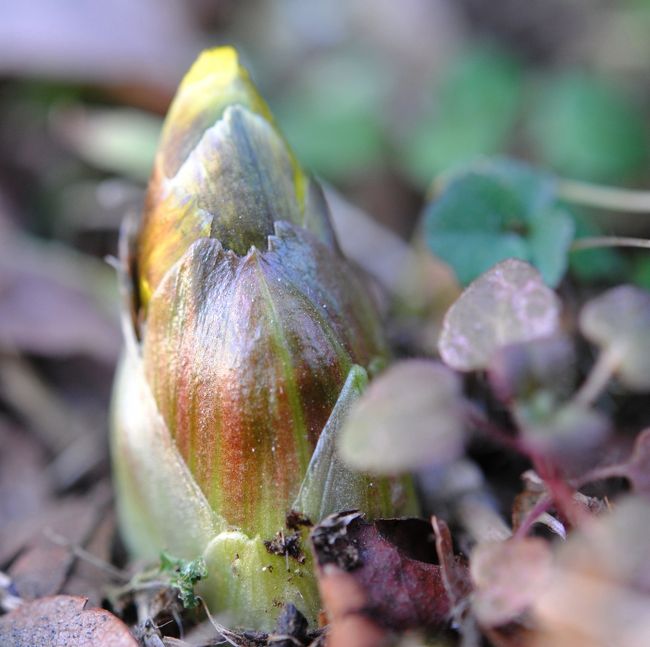 「あった〜！」