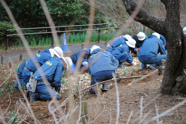 何植えてるんですかあ？<br /><br />「ムスカリですよ。」<br /><br />う〜〜わ楽しみっ♪<br /><br />渓谷の谷とは<br />ぜ〜〜んぜん違うところよ。