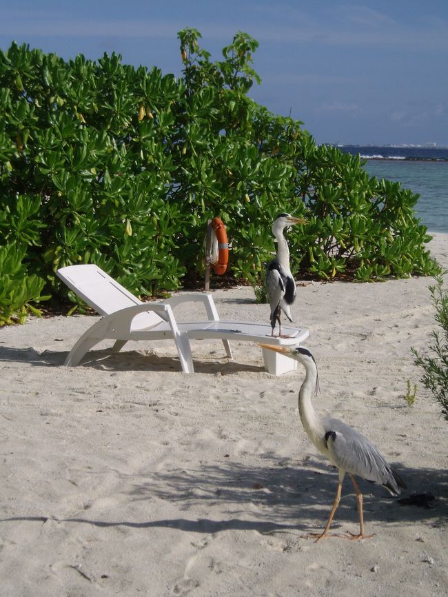 横を見ると、この子たち・・・♪