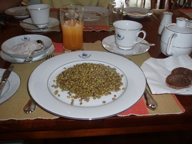 これは、ある日のアーユルヴェーダ食。<br /><br />メインは、豆カレーです。<br />さすがの私も、ちょっときびしぃーー！