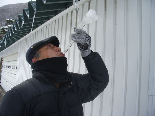 タラバ蟹の足みたいだね・・・この氷柱<br /><br />なんて言いながら、また９０分歩いて家に帰りました。<br />「携帯がありません！！」<br /><br />あのソリ遊びで落としたとしか考えられずタクシーで立待岬へ。