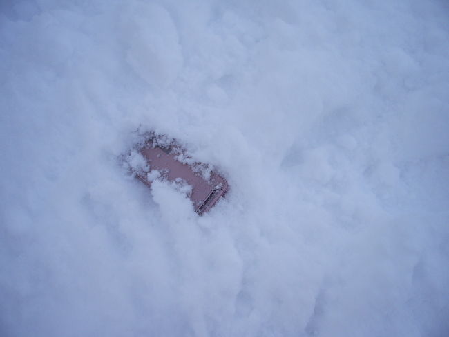 夫の携帯で呼び出しながら往復。９９％諦めていたら<br />どこからか、かすかな音。<br /><br />再現のためにもう一度携帯を放って写しましたが<br />実際はこんなんじゃありません。<br />雪に埋もれてただの地面でした。