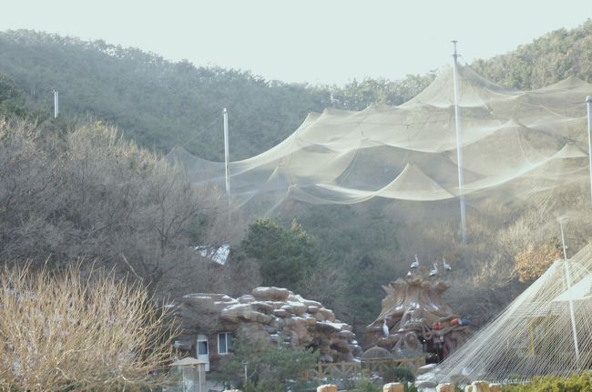 老虎灘にある鳥の公園