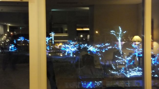 この時期だからでしょうか？<br /><br />イルミネーションがとても綺麗でした。<br /><br />が、残念ながら私のコンディジでは<br /><br />ここまでしか記録に残せません。<br /><br />記録より記憶ということでご勘弁を。