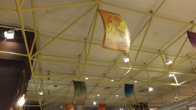 上を見上げるテリカラ。