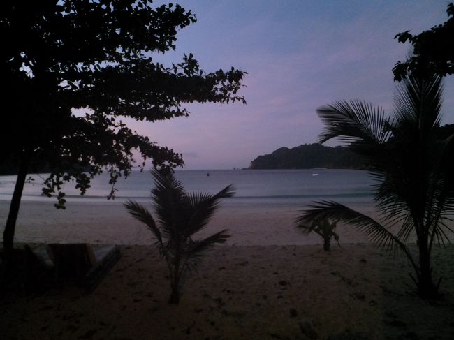 この日は朝５時半くらいに起きてしまいました。<br />外は、まだ暗いものの、薄紫色になってきました。