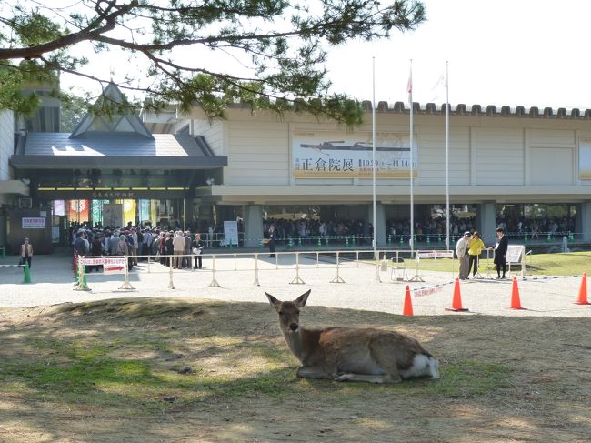 今年の正倉院展の見どころは、大河ドラマ「江」でも取り上げられていた「蘭奢侍（らんじゃたい）」と呼ばれる名香をはじめとする香に関する宝物や、随所に水晶や瑠璃がちりばめられた外装と刀そのものも美しい「金銀鈿荘唐大刀」などです。<br /><br />毎回展示物を見て思うこと・・・もちろん最高権力者の天皇の宝物だから豪華で贅沢なのは当たり前かもしれませんが、身の回りのものをこれだけ繊細に美しく整えて生活することを愛する日本人として生まれていることの感謝と、私自身も日常の中に”美”を意識して暮らしたいと思います。