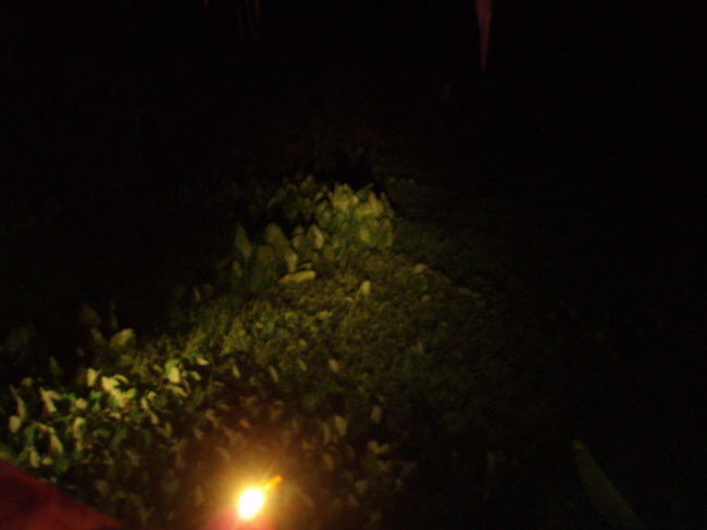 隣はタロイモ畑。真っ暗でよく映らないけど、一面タロイモ。カエルや鳥や虫の声が聞こえてくる。なんだか、初めて来たのに懐かしい気持ちになる。