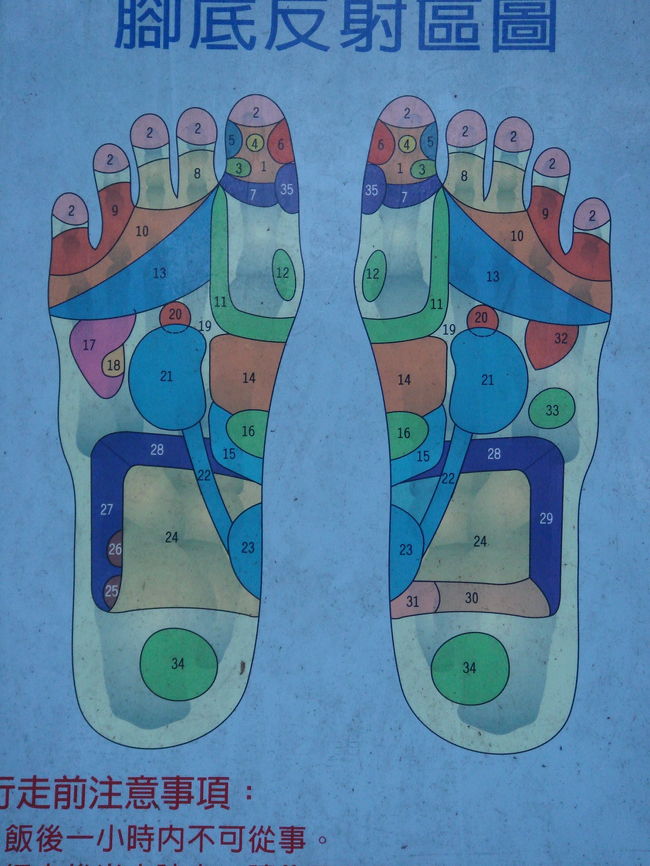 二二八和平公園には健康歩道があります。中正紀念堂の敷地にも健康歩道がありますが、二二八のほうが上級者向きです。（石がとがっているというか・・・）<br /><br />では、心を決めて挑戦したいと思います。いざ！