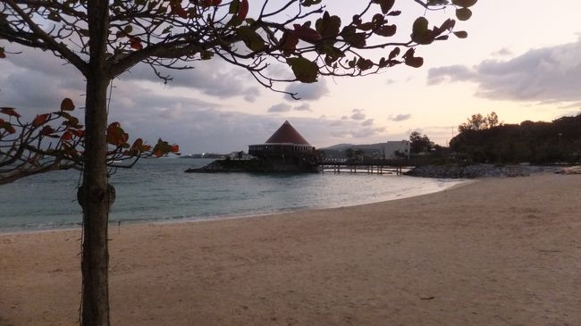 あそこの建物でＢＢＱが<br /><br />食べられます。