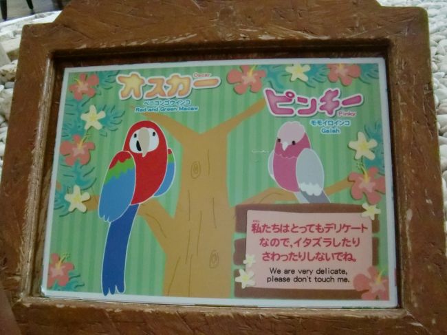 オスカーとピンキーが<br /><br />偶に、ギャーッと叫び<br /><br />ロビーにいる人達を驚かせていました。