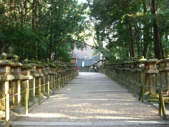 大混雑の南門付近を離れ若宮15社の方へ行ってみました。<br />参道にはこの様な石灯篭がずらっと並んでいます。