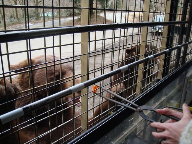 静岡県 伊豆長岡 赤ちゃんと行く富士サファリパークと温泉旅行 3歳 0歳4ヶ月 4traポイント獲得ダイジェスト版 伊豆長岡温泉 静岡県 の旅行記 ブログ By ぐっちぃさん フォートラベル 静岡県 伊豆長岡 赤ちゃんと行く富士サファリパークと温泉旅行 3歳 0歳4ヶ月 4traポイント獲得ダイジェスト版 伊豆長岡温泉 静岡県 の旅行記 ブログ By ぐっちぃさん フォートラベル