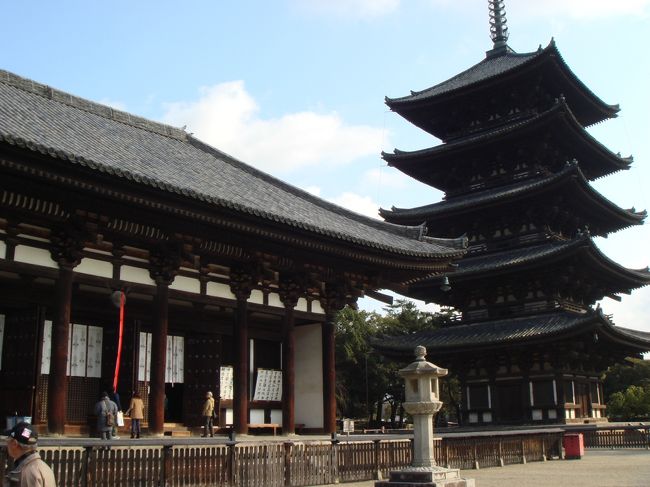 写真は、<興福寺/五重塔＆東金堂><br />どちらも国宝です。<br /><br />興福寺と言えば外せないのが「阿修羅像」。<br />興福寺の中の国宝館にいらっしゃいます。<br /><br />おととしくらいに東京で展示された時には、<br />360度全方位から見れるとあって、すごい人が集まったとか。。<br />仏像ブームの火付け役ともいわれるそのお方を見ないで帰ることはできない！<br />入館料（￥600）を支払い、いざ彼（？）の元へ。。<br /><br />見てきました！！<br />凛々しいそのお顔立ちは確かに人を引き付ける魅力みたいなのがありました。<br />思っていたより結構大きいな〜と思いました。<br /><br />その他にもたくさんの国宝が展示されているし、<br />ここは見といて損はないと思います。