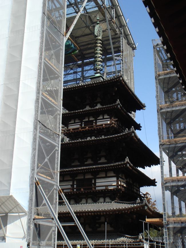 <薬師寺/東塔><br />こちらは解体修理に入るため、すでに足場が組まれていました。<br />西塔と東塔をいっぺんに見れると意気込んでいた母様は残念がっておりました。<br />完成予定は平成30年だそうなので、それを見るため長生きしてもらいたいものです。<br />こっちも修復後は西塔のような派手派手しい感じになっちゃうのかな。。<br />今の渋い感じが好きなんだけどな。。<br /><br />このあと、「東院堂」に行き、国宝の「聖観世音菩薩立像」を見ました。<br />このあたりから急に風が強くなってきて、あまりの寒さに写真を撮り忘れました。<br />この日の天気予報では雪マークがついていたからな・・<br />何とかお天気もってくれ〜と祈りながら、次の場所へと向かう。