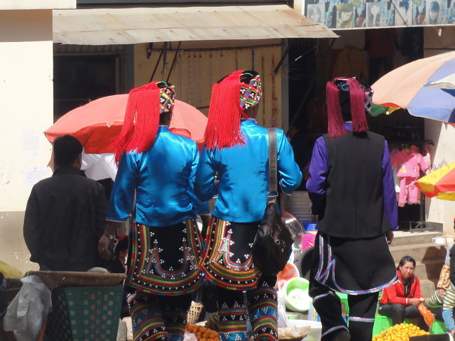 　成人女性の２，３割は民族服を着用しているでしょうか。こう言うと少なく聞こえますが、町のメインストリートは人通りが多く、次から次へと民族衣装に遭遇します。このような民族衣装が現役の町は緑春が初めて。ちょっとしたカルチャーショックを覚えます。<br /><br />　ここの特徴は帽子から垂れた赤や紫の紐飾り(写真)。若い人は赤色、年配の人は紫色を使う傾向があります。残念ながら、民族衣装は帽子とズボンだけで上着は現代服という人が多いのですが、そこに「手抜き」感が感じられないのは、やはり帽子が立派だからでしょうか。
