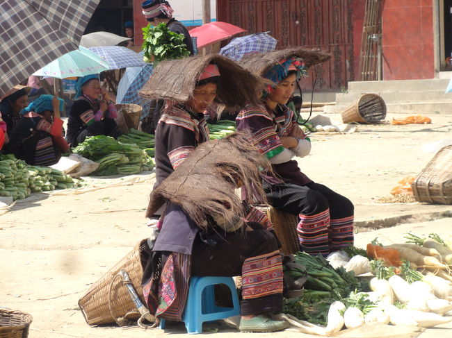 　この蓑のようなマントはシュロでできた雨合羽。荷物を背負う時のクッションにもなる万能の作業ウェアです。さらには、写真のように日傘としても使えます。そうか、その手があったか！