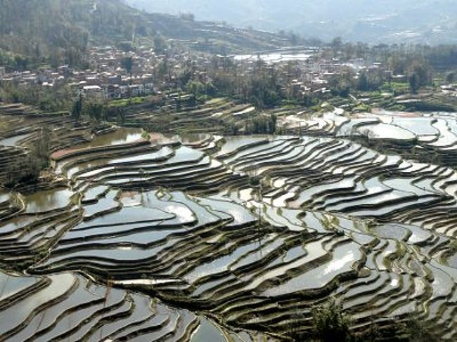 [元陽]<br /><br />　緑春で「いい感触」を得た後、次に向かったのが棚田で有名な元陽。緑春からわずか４時間(32元=400円)の距離です。元陽の中心、新街鎮に腰を据え、棚田巡りと平行して少数民族巡りにも精を出しました。<br /><br /><br />参考: 元陽・棚田トレック　全４作<br />http://4travel.jp/traveler/sekai_koryaku/album/10551785/