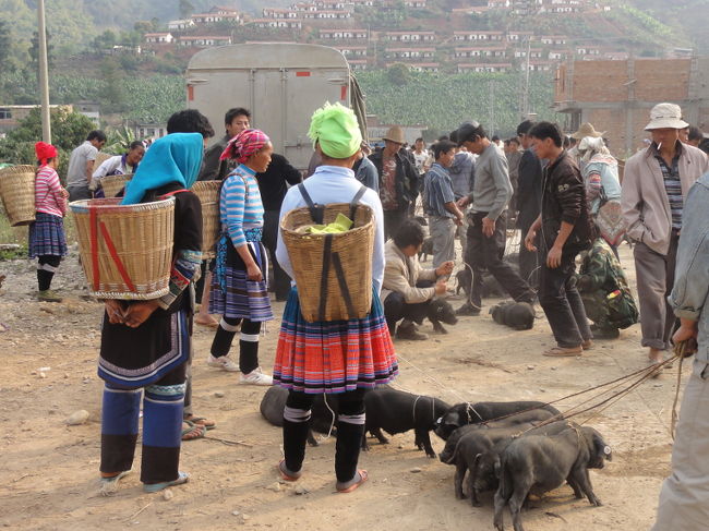 [老孟]<br /><br />　最後に紹介するのが、元陽近郊で最も有名な老孟の日曜市です。乗り合いワゴンで約80分ほど。この場所は、正確には元陽県ではなく、隣の金平県になります。ここはとにかく規模が大きく、マーケットの日には街の大半の道路に店が並びます。