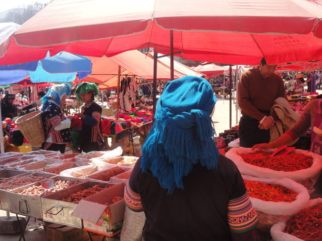 [元陽 - 市場巡り]<br /><br />　とはいえ、元陽に来たからには、定期市巡りをお勧めします。元陽近郊では、毎日のようにどこかで定期市が行われていて、観光客も気軽に見学できます。人が多く集まるため、複数の少数民族をまとめて見られるのが最大の魅力です。さらには、普段街に出てこない山里の人たちに会える数少ないチャンスでもあります。<br /><br />　各定期市のスケジュールは、曜日か干支によって決められており、たいてい、４日に一回、６日に一回、７日に一回のいずれかです。ほとんどの場所へは新街のバスターミナルまたは雲梯順捷酒店前の広場から乗り合いワゴンが出ています。場所により1時間-1時間半程度。<br /><br />