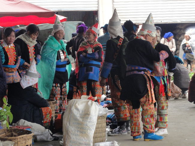 　忠誠度をランクづけすると、ちゃんと頭を剃っている人(上の写真) &gt; いちおう帽子をかぶっている人 &gt; 帽子はともかく、衣装は着てる人 &gt; 上だけ着て下ジーパン＞普通の服を着ている人、の順になります。「普通の服」だと他の民族と区別がつかないわけで、やはりアイデンティティって重要です。<br /><br />　本来「紅頭」ヤオのはずですが、雨に濡れないよう、その上にタオルを巻く「タオラー」ヤオが増殖中です(写真)。