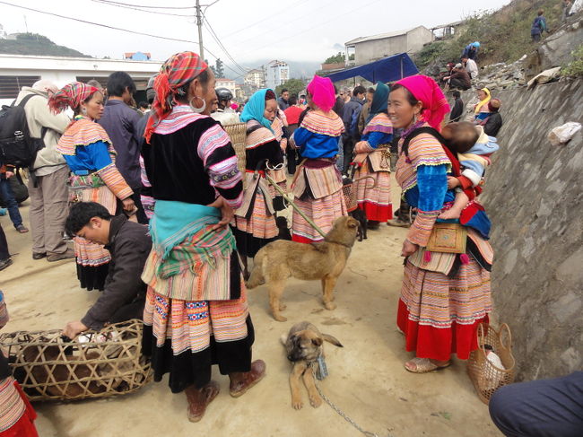 　食堂街を抜けると、犬のフリマがあります。ペットとして通用しそうなルックスの犬もいますが、おそらく食用でしょう。