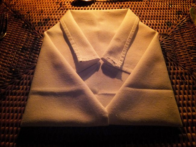 １９時半、夕食をとりにダイニングへ。<br /><br />今日のナプキンはかわいいシャツ・スタイルですね。