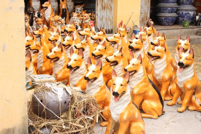 ワンちゃん大集合