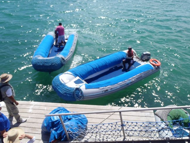 大型船は岸に近づけないのでこの「ディンギー」というゴムボートで船まで行きます。スーツケースを持っている人もいて「えーっコレに乗るの？」と大騒ぎでしたが、この先毎回これにお世話になることに。<br />しかもよく揺れます。救命ベストは着ているものの最初はコワゴワ。<br /><br />私はスーツケースをキトのホテルに預けて、大きなリュックひとつだったのですが、乗る時にバランスを崩すため先にリュックを乗せてもらってからボートに乗り移りました。