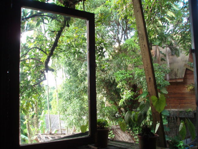 ２日目。朝、さわやか。窓の外はこんな感じ。