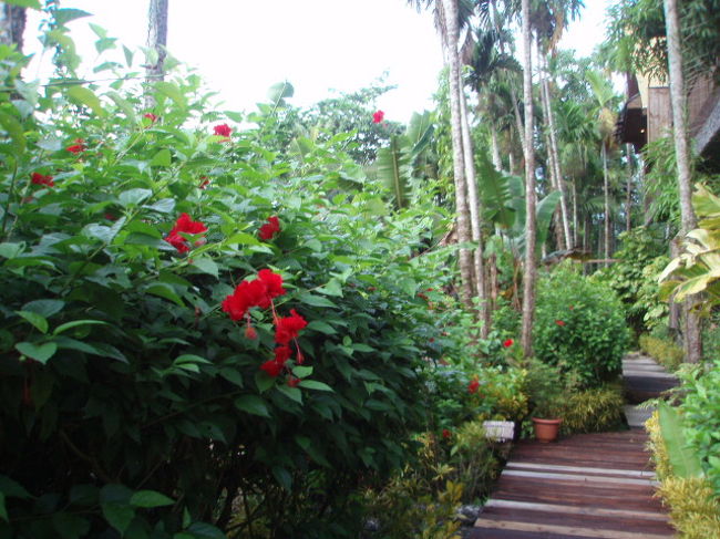 部屋を出ると、こんな感じ。