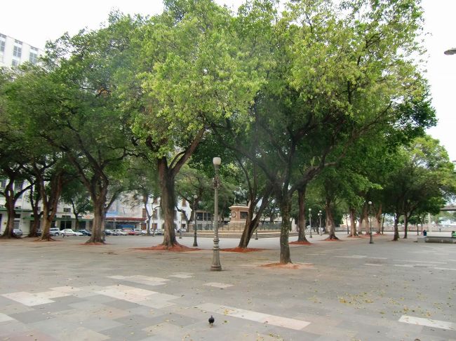 11月１５日広場<br />チラデンチス宮殿の隣にある広場。<br />