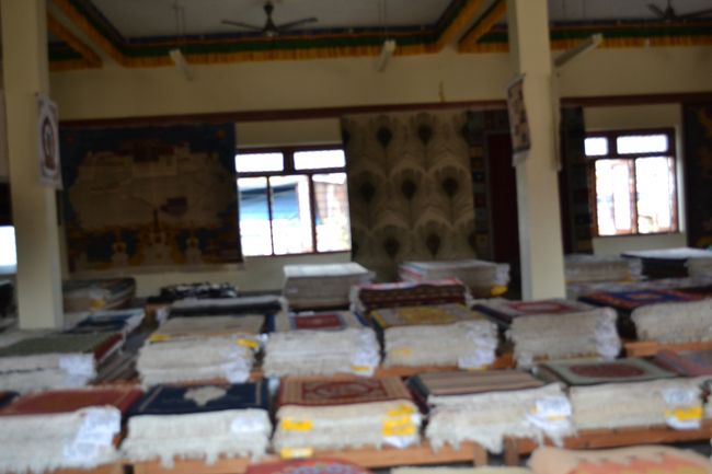 トルコや中国に行ったときの絨毯工場と同じである。面白い絨毯もあり、寄付のつもりで買おうかと思ったが、トルコで懲りていたので、今回は、じっと我慢して買わなかった。この集落内を歩いてバスに戻る途中、チベット人のおばあさんが、小さな台の上にお土産を並べていた。その中に黒い化石があり、いくつかを見ているとアンモナイトの化石が500ルピーでよいというので、寄付のつもりで購入した。実は、その前にポカラの空港で待っているときに、空港内の売店でアンモナイトの化石を１つ700ルピーで買っていたのである。Ｙさんからは、よくできた（作られた）馬糞の化石であるなどと冷やかされた。ちなみに、１ルピーは、1.2円である。