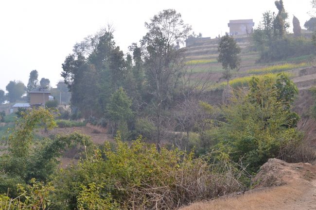 のどかな、なつかしい風景が広がっています。<br />