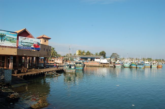 ニゴンボの魚市場