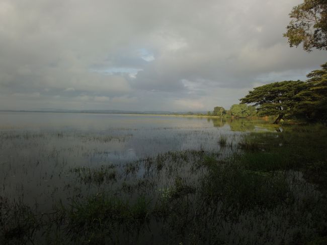 ポロンナルワ<br />パラークラマサムドラ<br />大きな湖