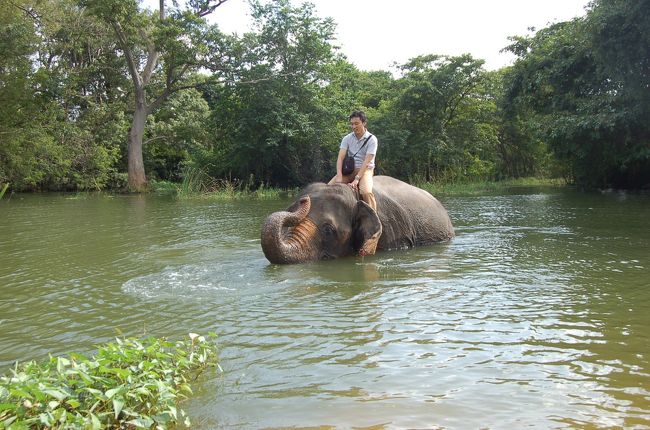 湖の中に入るアトラクション<br />落ちないように頑張る