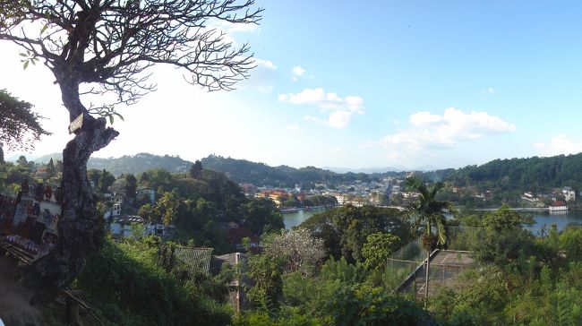 キャンディ<br />ビューポイントから