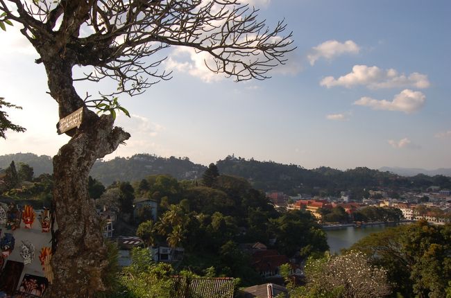 キャンディ<br />ビューポイントから