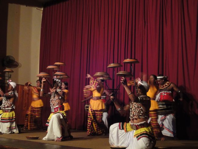 キャンディ<br />キャンディアンダンス<br />芸達者