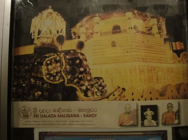 キャンディ<br />ペラヘラ祭りのイメージ<br />象が派手に飾り付けされている