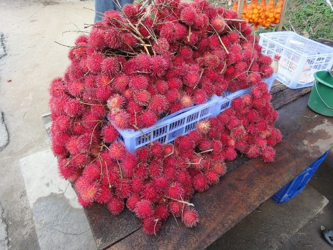 名前がわからない果物<br />ライチみたいな味だった
