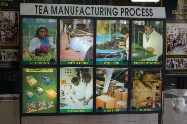 紅茶ができるまで