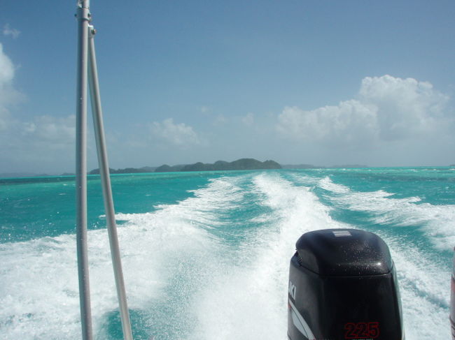 ボートはすごい速さ。波しぶきも半端ではありません。今日から3日間お世話になるダイビングショップはクルーズコントロールさん。今日のダイブは１本目ガムリスコーラルガーデン。２本目ブルーコーナー。3本目シャンデリアケーブでした。残念ながら写真なし。