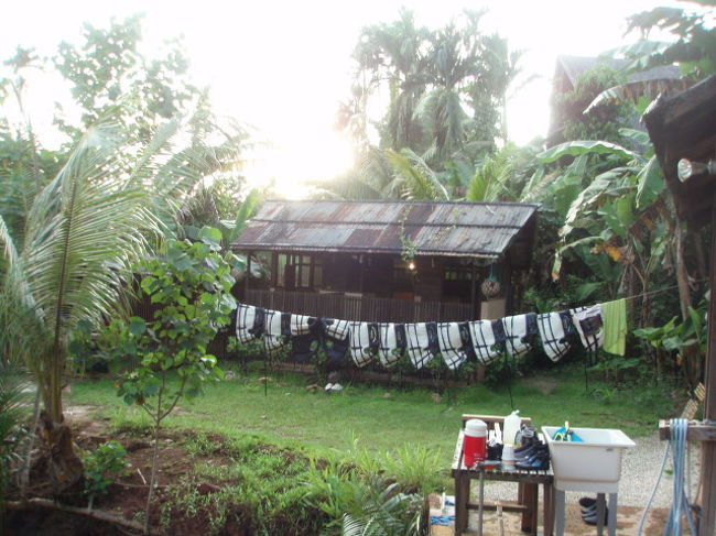 ホテルからもカヤックツアーや珊瑚の植え付けなどオプショナルツアー申し込めます。